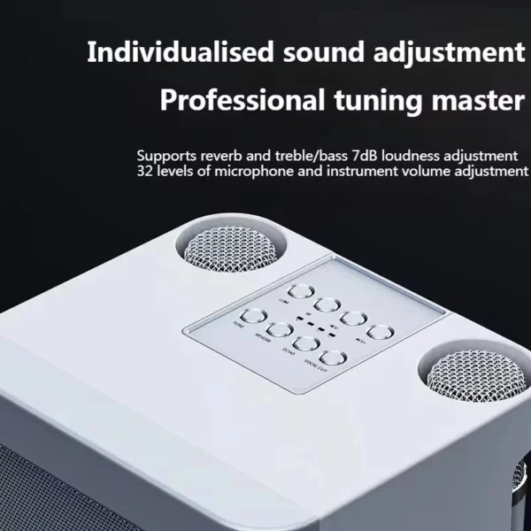 #Portable Dual Microphone Karaoke Machine for Adults Kids Speaker Home KTV System HIFI Stereo Bluetooth Mic for Home Party Gifts - Image 5